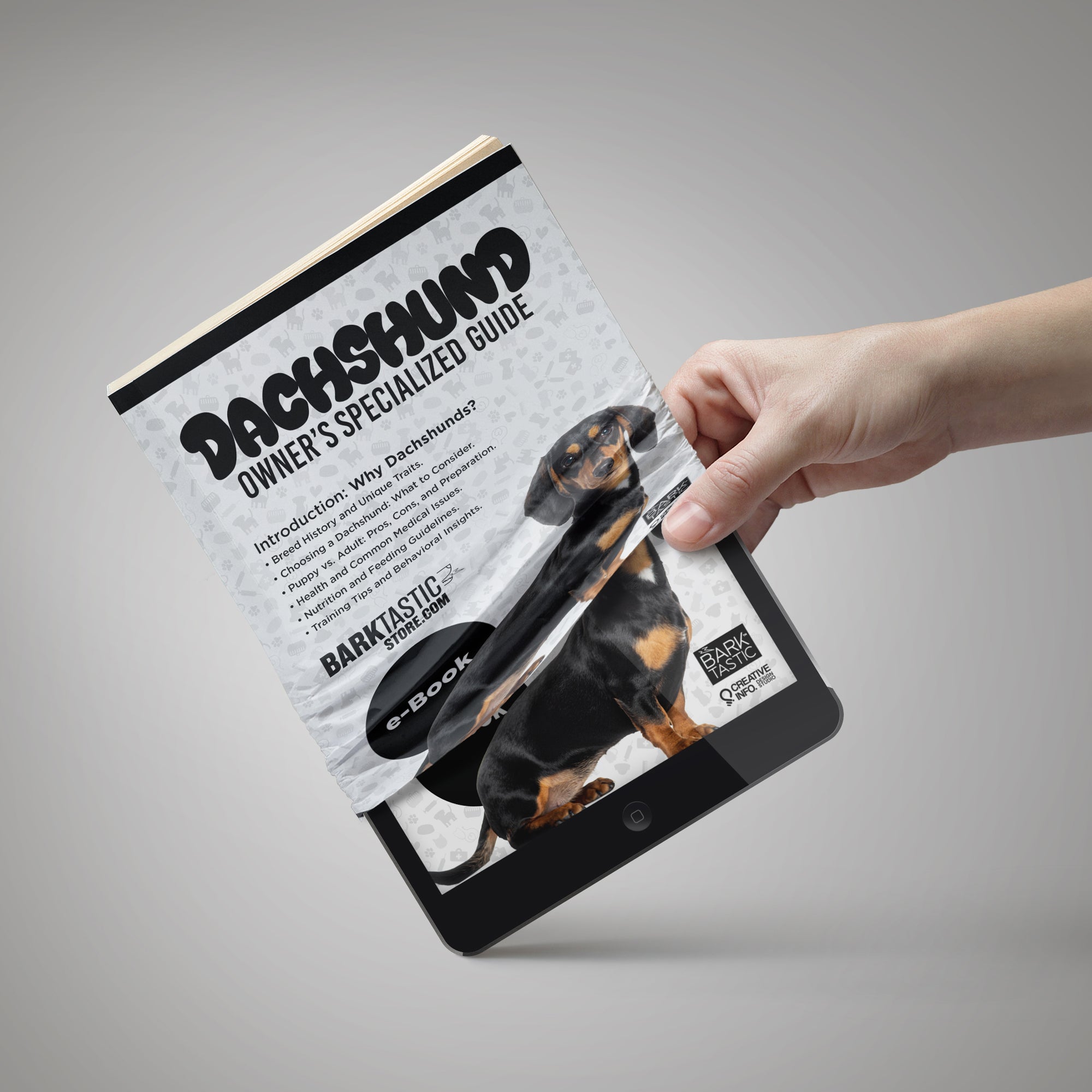 Dachshund owner’s specialized guide