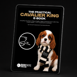 The Practical Cavalier King Charles Spaniel Ebook